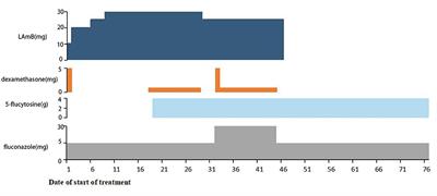 Case report: Reversible encephalopathy associated with liposomal amphotericin B in a patient with cryptococcal meningitis